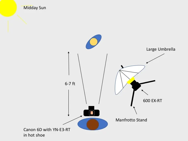 Lighting diagram: toddler 6 to 7 feet from the camera lit by a speedlite in a large umbrella