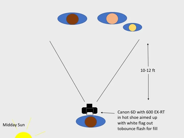Lighting diagram: on-camera speedlite bounced up with a white flag for fill in midday sun