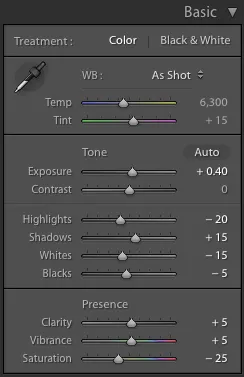 Lightroom Basic panel settings used for the white background edit