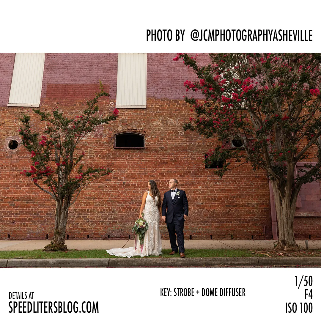 Bride and groom holding hands in front of a brick wall between crepe myrtle trees, by JCM Photography