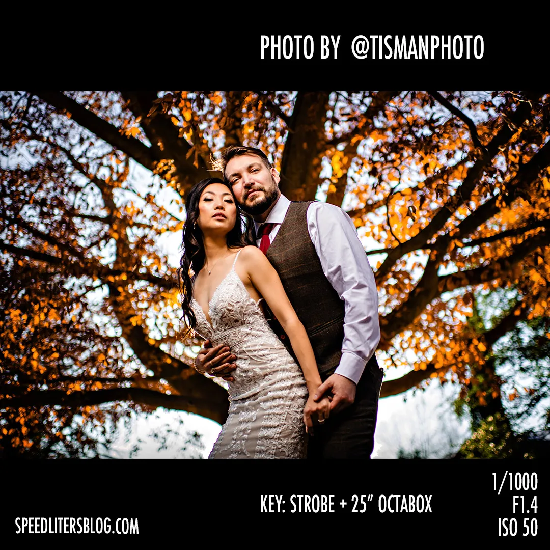 Bride and groom beneath a tree with orange fall leaves, lit by an octabox, by Jeff Tisman