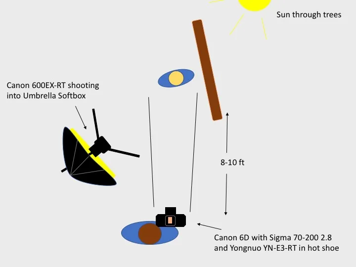 Lighting diagram: umbrella softbox fill with the sun filtering through trees