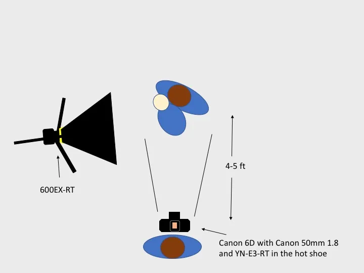 Lighting diagram: single speedlite in a softbox to the side, 4 to 5 feet from the subject