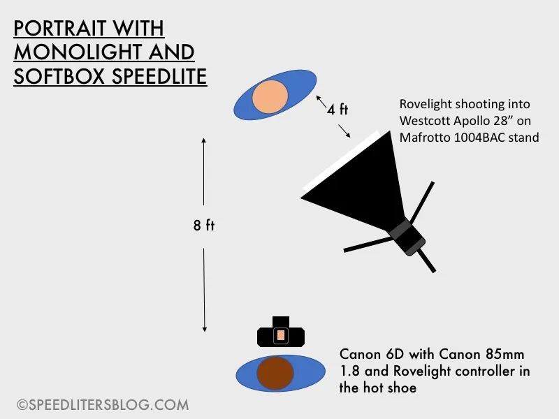 Lighting diagram: Rovelight in a 28-inch softbox 4 feet from the subject